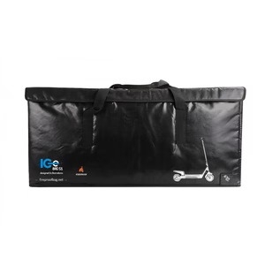 ICe-BAG-S1
